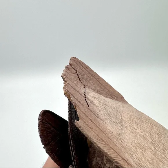 Handmade Folk Art Carved Wood Pintail Duck ERIK VANDE BOGART - Picture 8 of 10